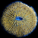 Image for article titled The year's strangest, most beautiful visions of the microverse